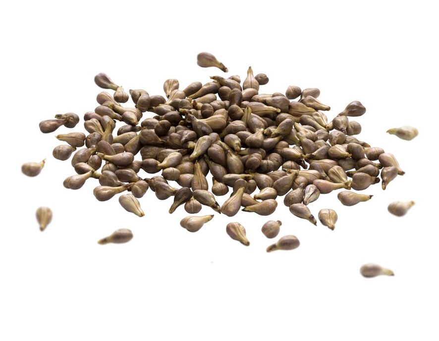 Варикона крема садржи уље семена грожђа